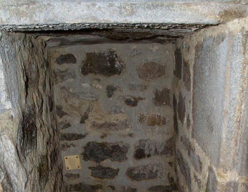 Какой был туалет в средневековом замке. Почему во дворцах все старались обходить стороной шторы и углы, или как справляли нужду в средневековье. Быт и насекомые