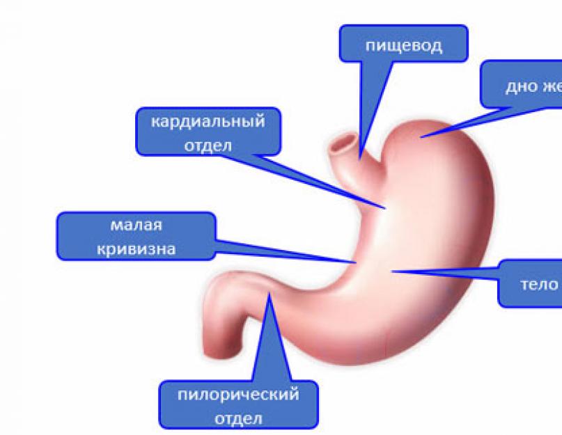 Схема лечения язвенной болезни двенадцатиперстной кишки. Симптомы и лечение язвенной болезни желудка и ДПК: медикаменты, физиотерапия. Симптомы язвы желудка
