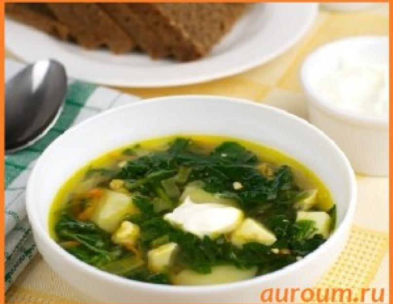Как варить суп из свежей крапивы. Пошаговый рецепт приготовления супа из крапивы