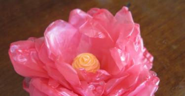 Crafts from bags - interesting and simple ideas for creating things from plastic bags