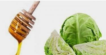 Cabbage leaf - medicinal properties