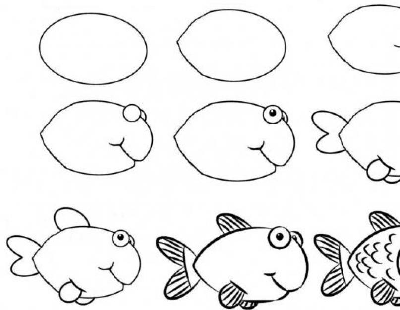 Easy drawings of fish.  How to draw a fish step by step  Learning to draw a goldfish