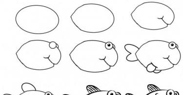 How to draw a fish step by step?