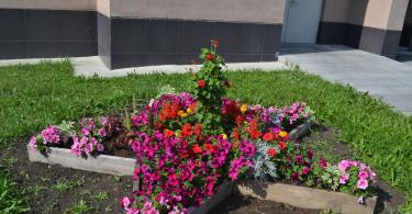 Making a flower bed near the house with your own hands: photo design ideas