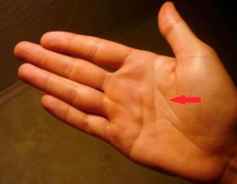 How to watch the line of life.  Which hand is used to look at the future in palmistry: a guide for beginners.  Double life line