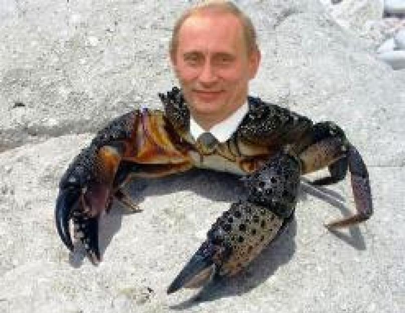 Ленин радиоволна. Почему Путин краб, Медведев шмель, а Ленин гриб? Смотреть что такое 