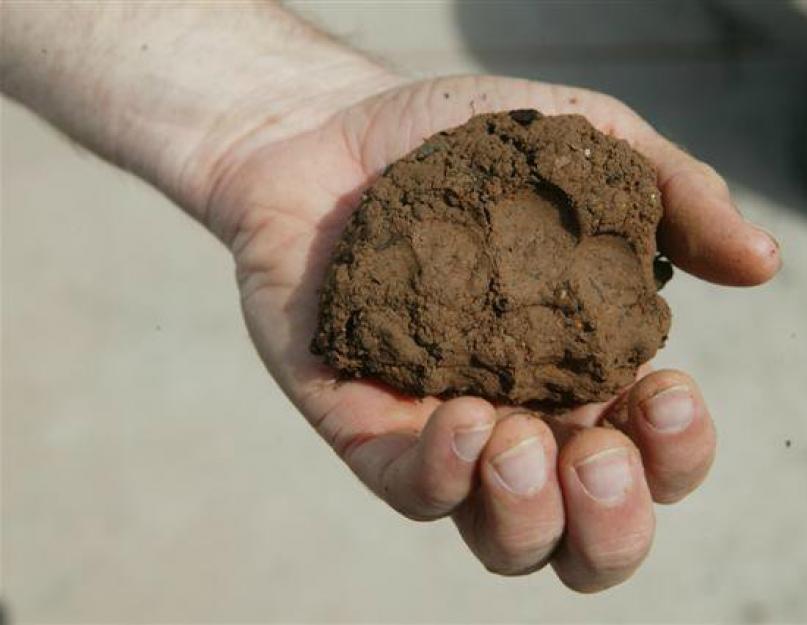 मिट्टी का खनन कहाँ होता है?  नदी की नीली मिट्टी में जमा मिट्टी की तलाश कैसे करें