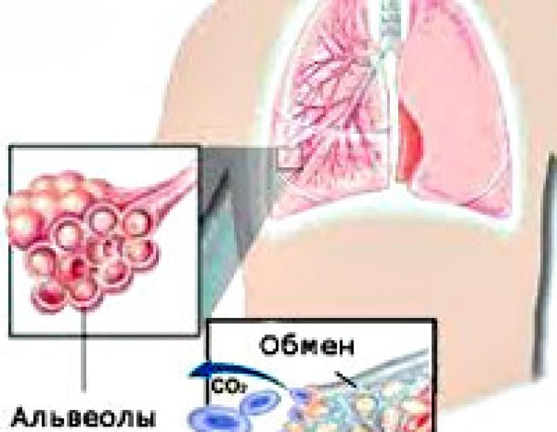 मिश्रित प्रकार के बाहरी श्वसन के कार्य का उल्लंघन।  एफवीडी ऑब्सट्रक्टिव डे टाइप में बदल जाता है।  सीओपीडी और ब्रोन्कियल अस्थमा में श्वसन क्रिया के सामान्य पैरामीटर क्या हैं?