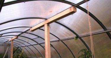 Reinforced polycarbonate greenhouse: photos, reviews, assembly How to strengthen a film frame greenhouse in winter