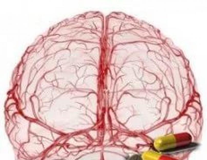 मस्तिष्क के माइक्रो सर्कुलेशन में सुधार।  मस्तिष्क परिसंचरण में सुधार के लिए प्रभावी दवाएं।  मस्तिष्क परिसंचरण में सुधार के लिए लोक उपचार।